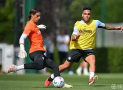 球队教练是干什么的